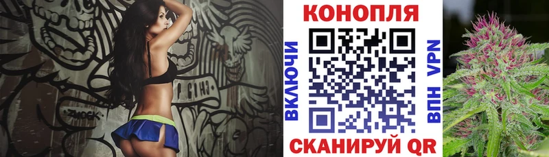 где можно купить   Нея  Бошки марихуана планчик 
